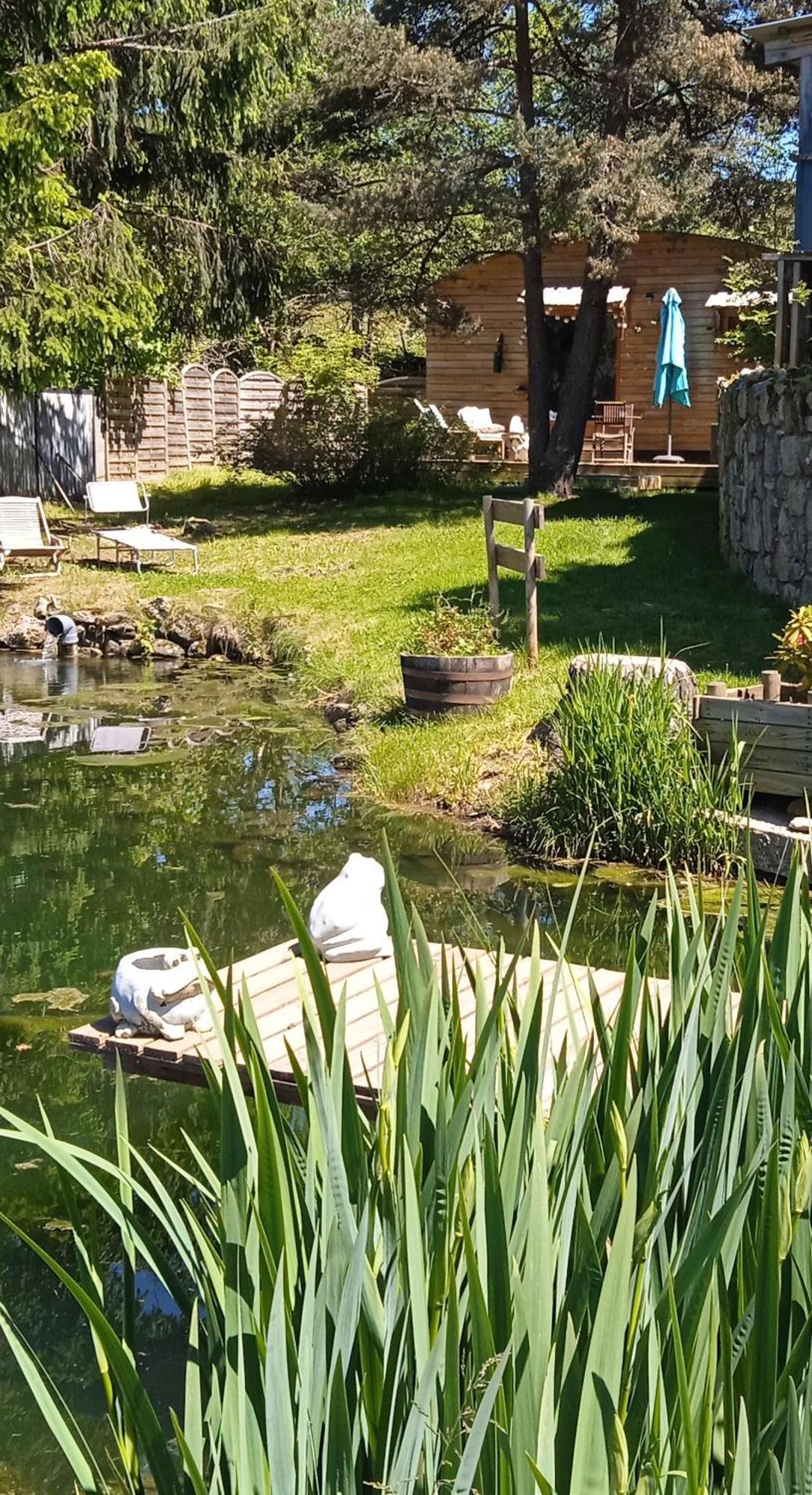 Chalet Grenouille Domaine De La Mamounette Champclause Екстер'єр фото