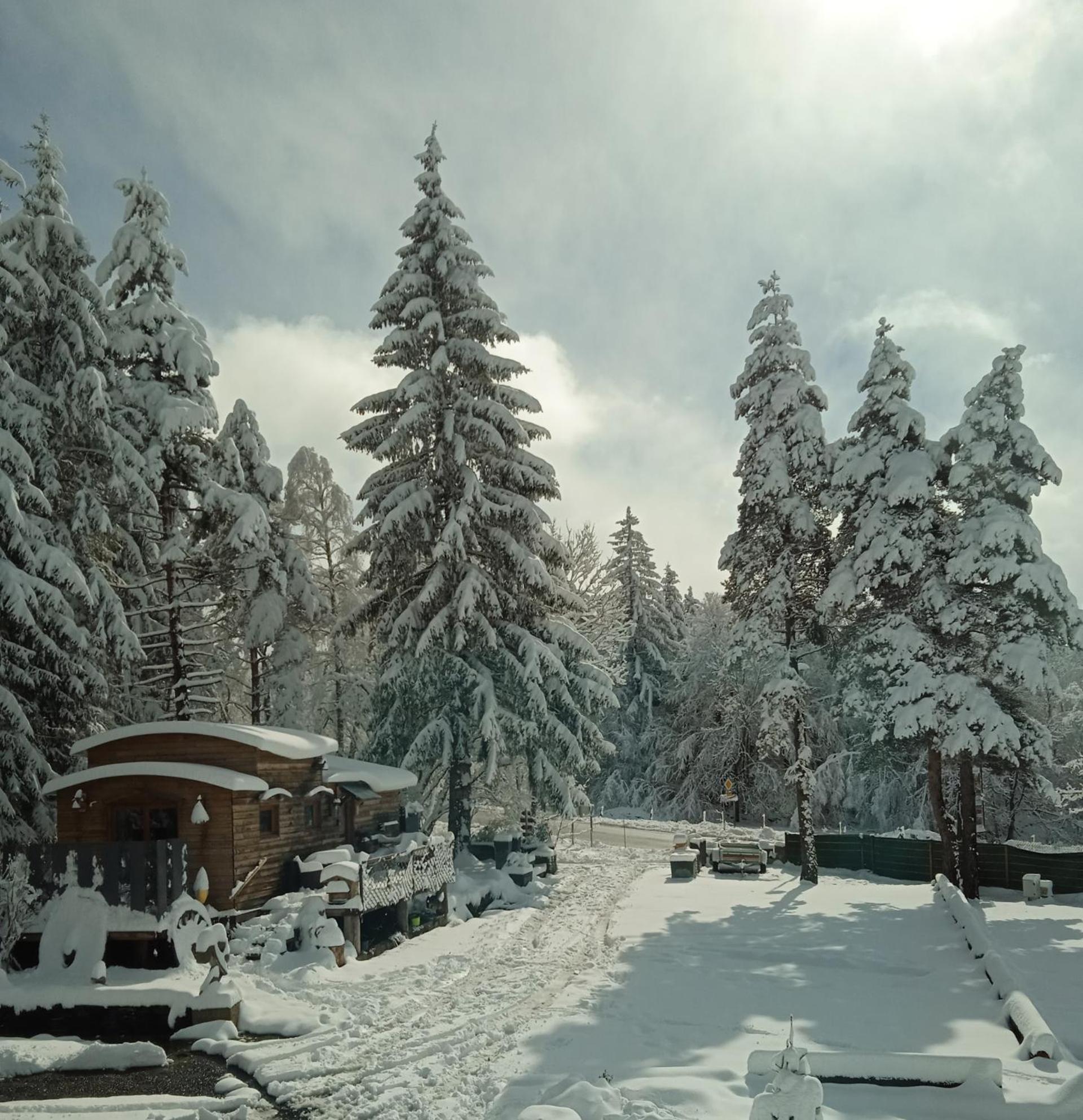 Chalet Grenouille Domaine De La Mamounette Champclause Екстер'єр фото