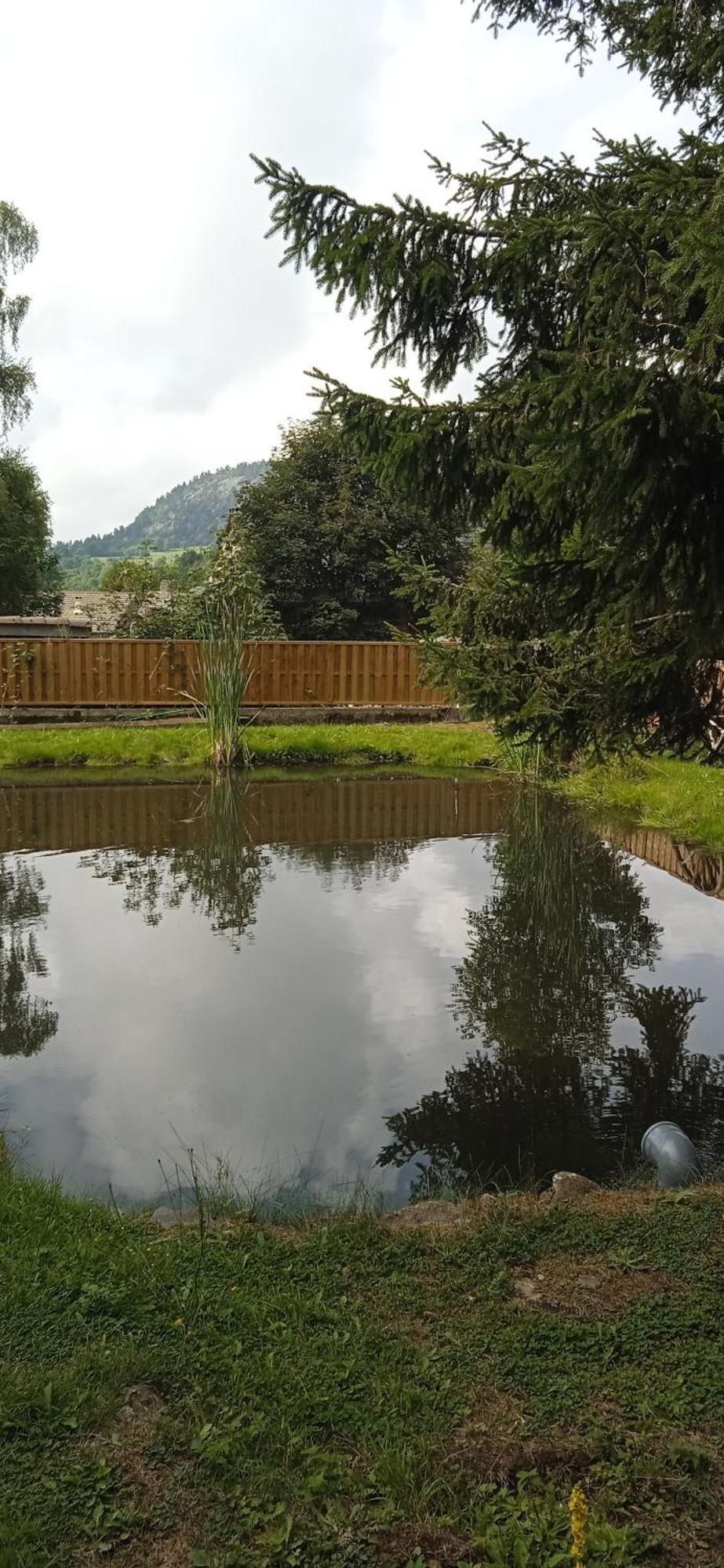 Chalet Grenouille Domaine De La Mamounette Champclause Екстер'єр фото