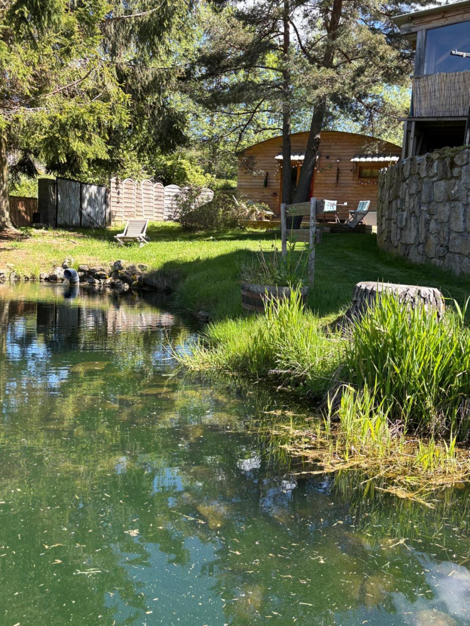 Chalet Grenouille Domaine De La Mamounette Champclause Екстер'єр фото